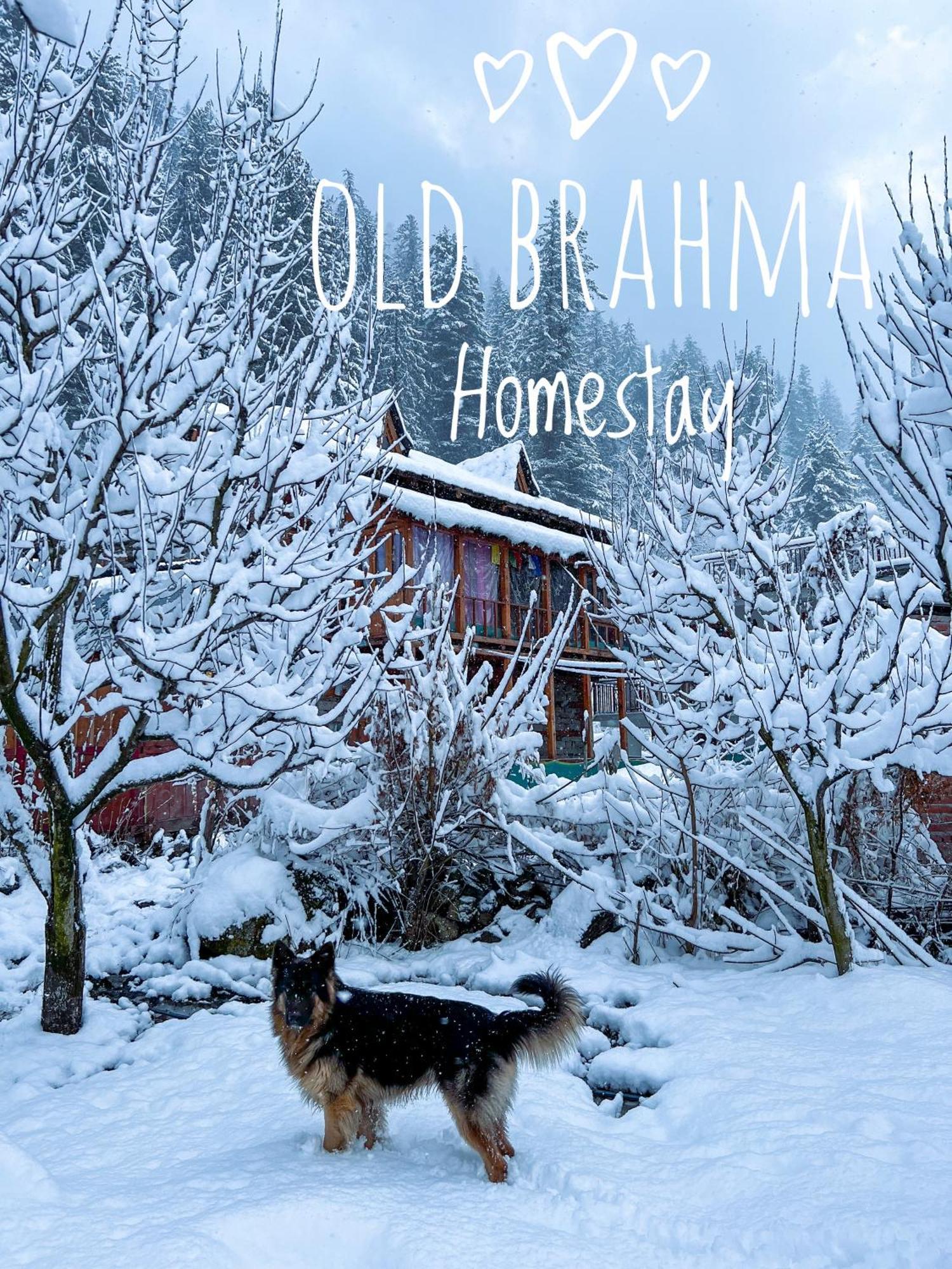 Old Brahma Homestay Kalgha Esterno foto